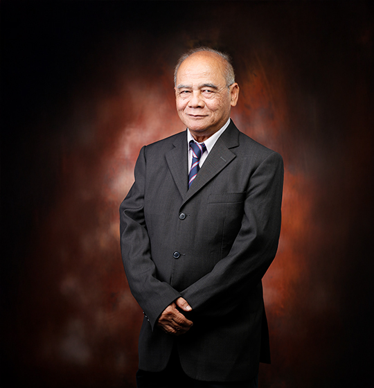 Lt Col Assoc. Prof Mohamed Tarmizi bin Ahmad (Retired)