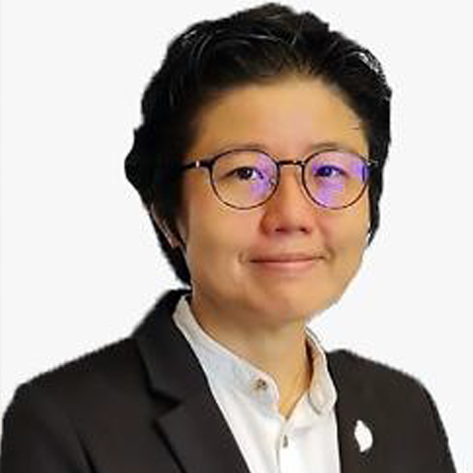 PROFESOR IR. DR. CHAN CHEE MING